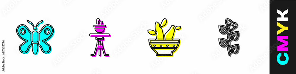 Set Butterfly, Plant in pot on table, Cactus peyote and Ivy branch icon. Vector