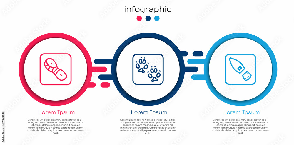 Set line Human footprints shoes, Fox paw and . Business infographic template. Vector