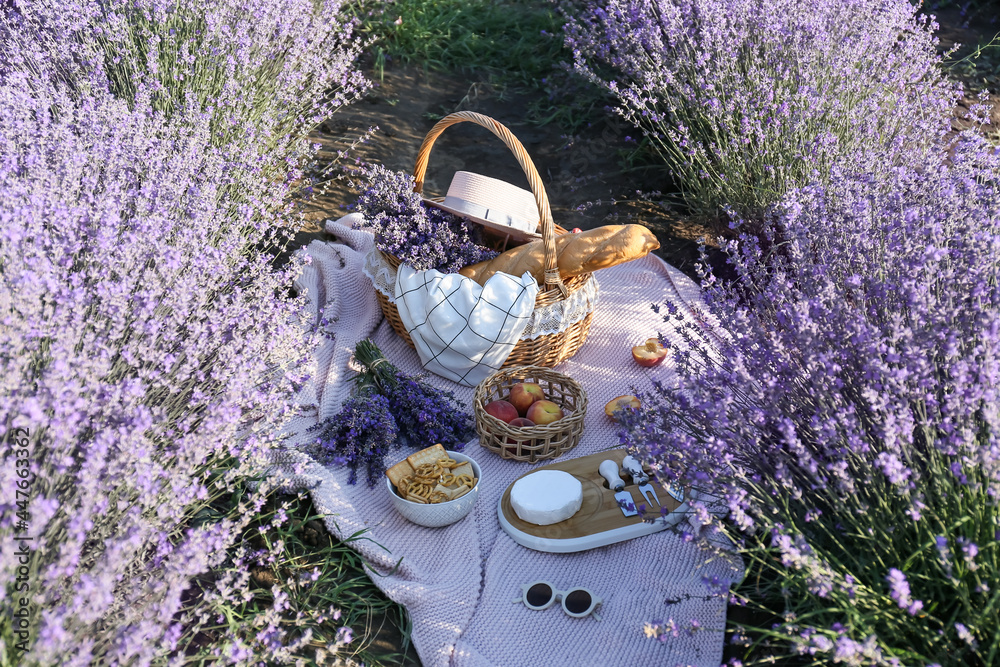 Wicker basket with tasty food for romantic picnic in lavender field