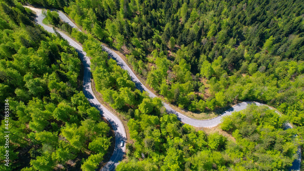 空中飞行：飞越一条蜿蜒曲折的道路，穿过一片田园诗般的绿色森林。