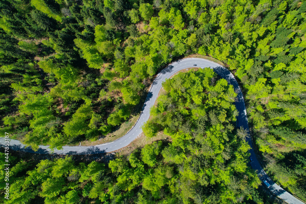 空中飞行：飞越一条蜿蜒曲折的道路，穿过一片田园诗般的绿色森林。