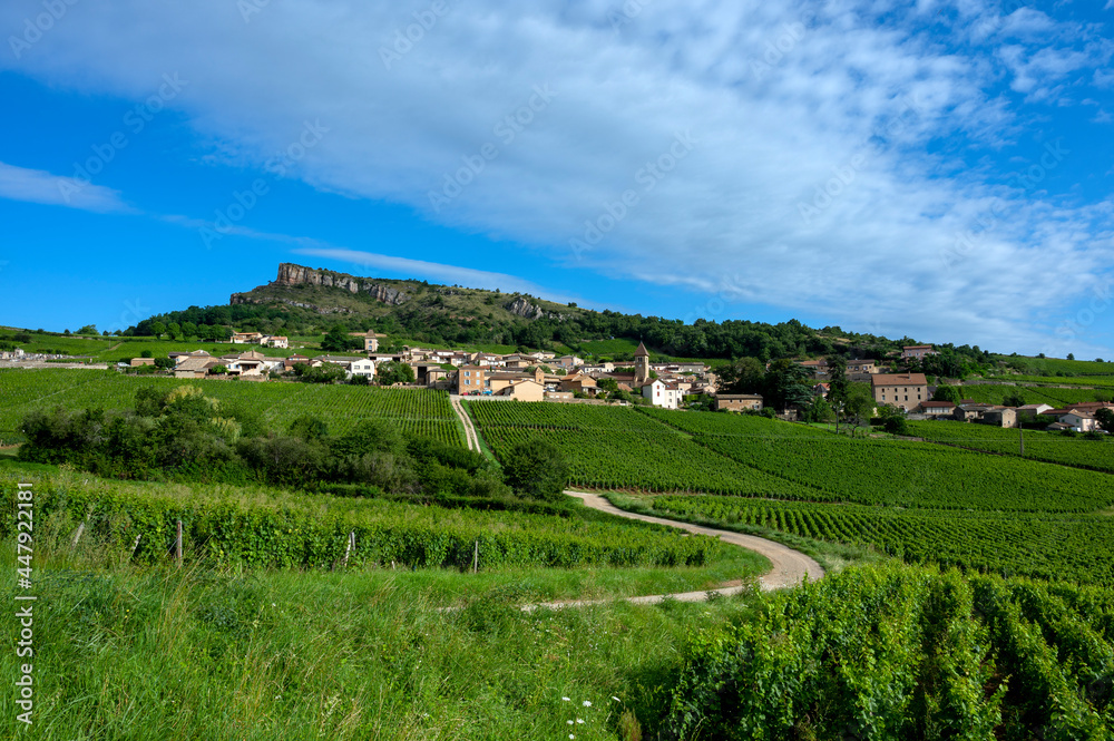 Paysage de vignoble en Bourgogne autour du village de Pouilly-Solutré en France dans le département 