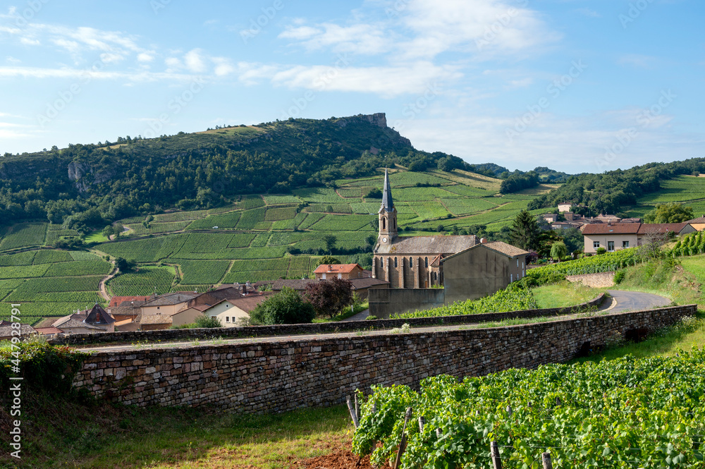 Paysage de vignoble en Bourgogne autour du village de Vergisson en France dans le département de Saô