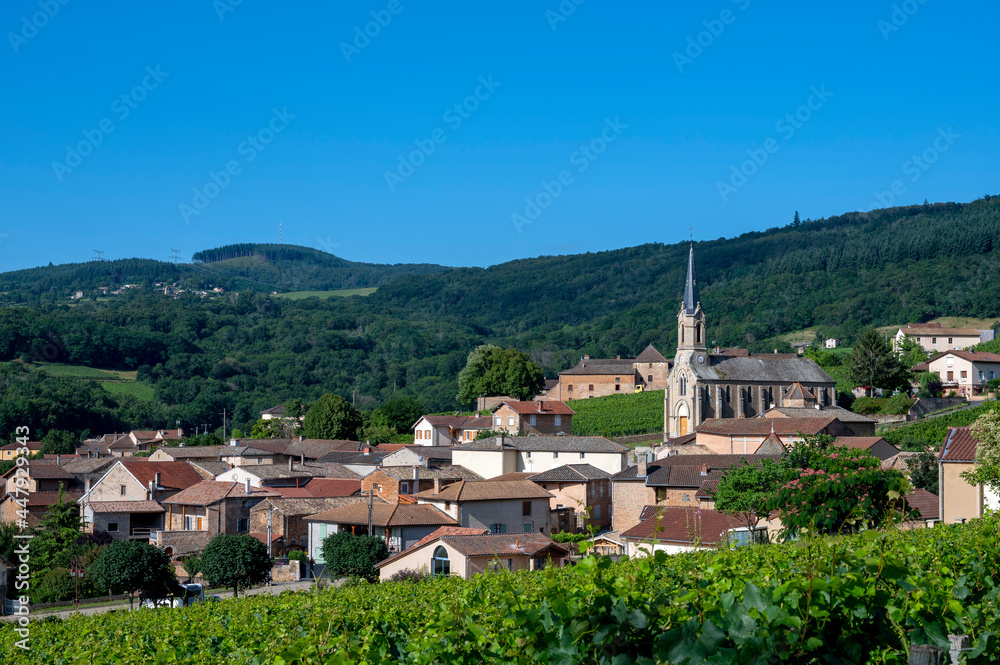 Paysage de vignoble en Bourgogne autour du village de Vergisson en France dans le département de Saô