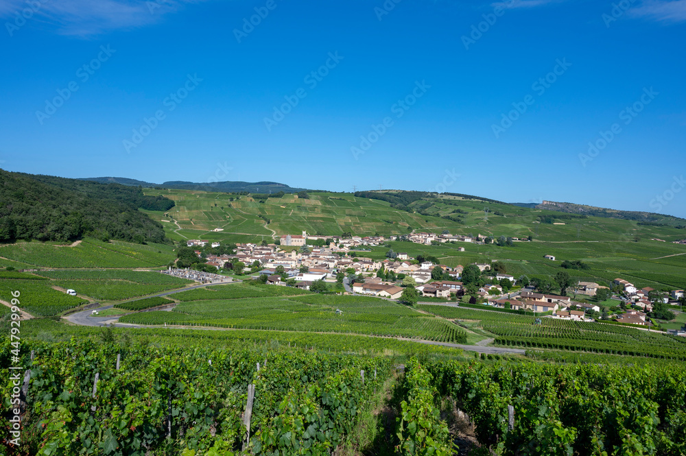 Le village de Fuissé dans le vignoble des vins de Bourgogne en France au printemps