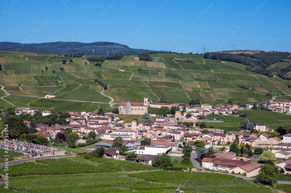 Le village de Fuissé dans le vignoble des vins de Bourgogne en France au printemps