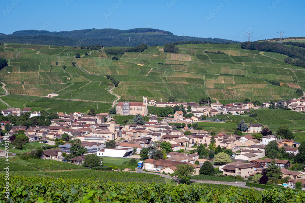 Le village de Fuissé dans le vignoble des vins de Bourgogne en France au printemps