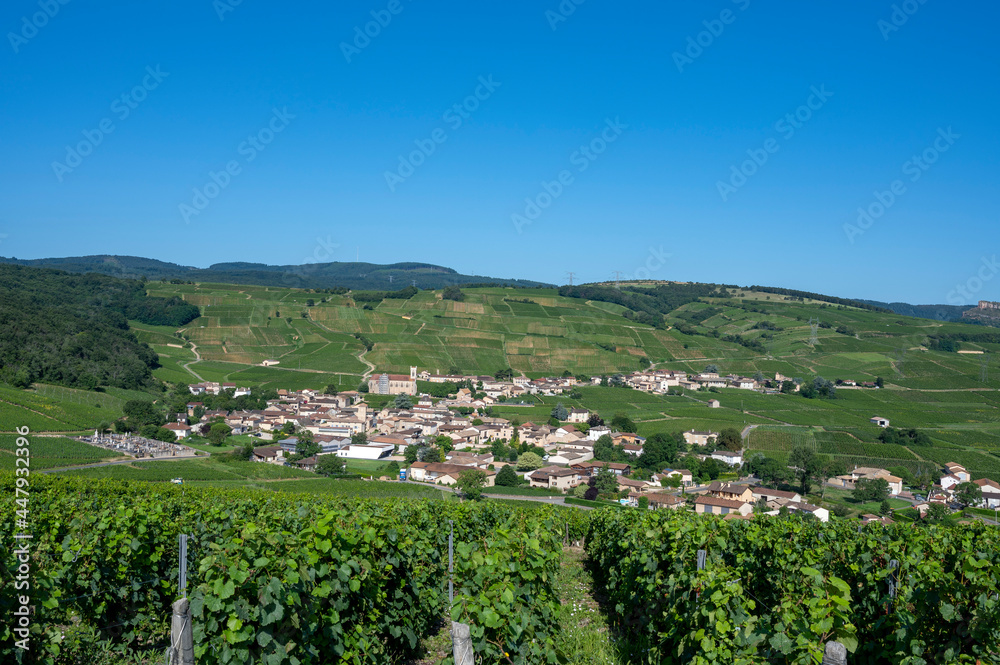 Le village de Fuissé dans le vignoble des vins de Bourgogne en France au printemps