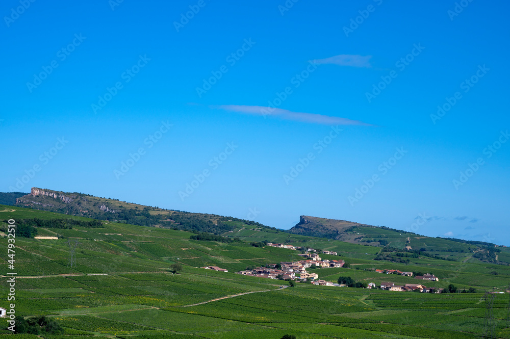 Paysage de vignoble en Bourgogne autour du village de Pouilly-Fuissé en France dans le département d