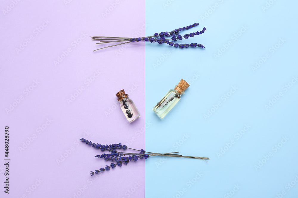 Bottles of lavender essential oil and flowers on color background