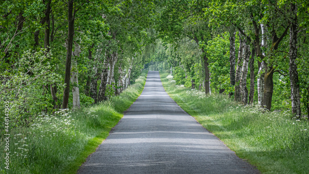 Nebenstraße und Radweg nach Fintel in der Lüneburger Heide