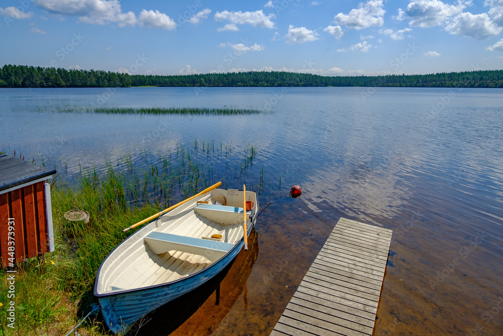 rowing boat on a lake in the swedish nature reserve hökensas near habo