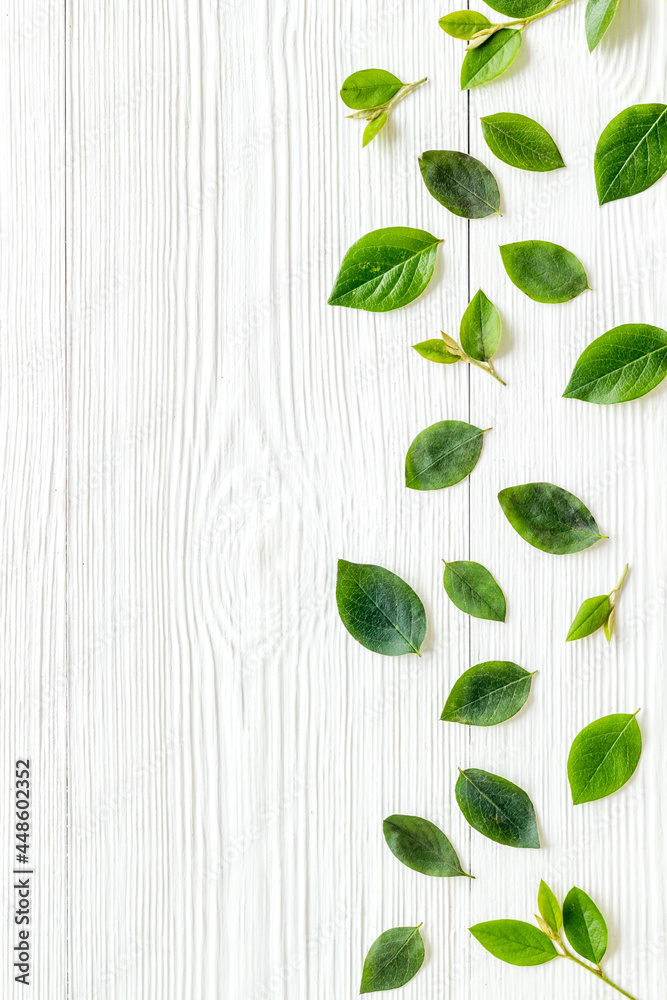 Green leaf pattern frame. Leaves branches top view