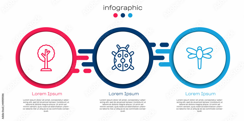 Set line Forest，Ladybug and Dragonfly。商业信息图模板。Vector