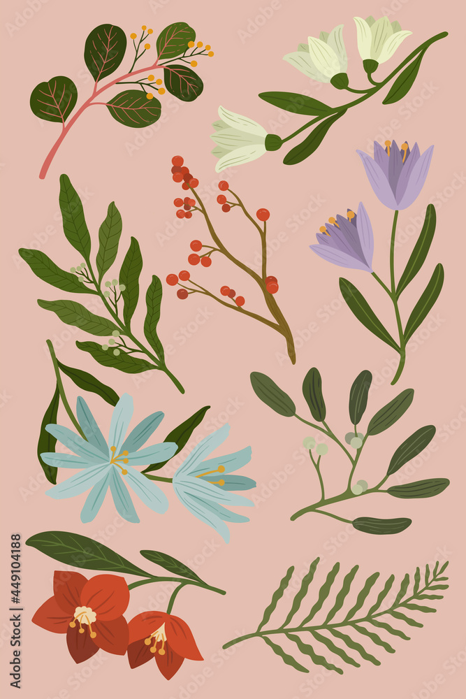 Winter botanicals on a pink background vector