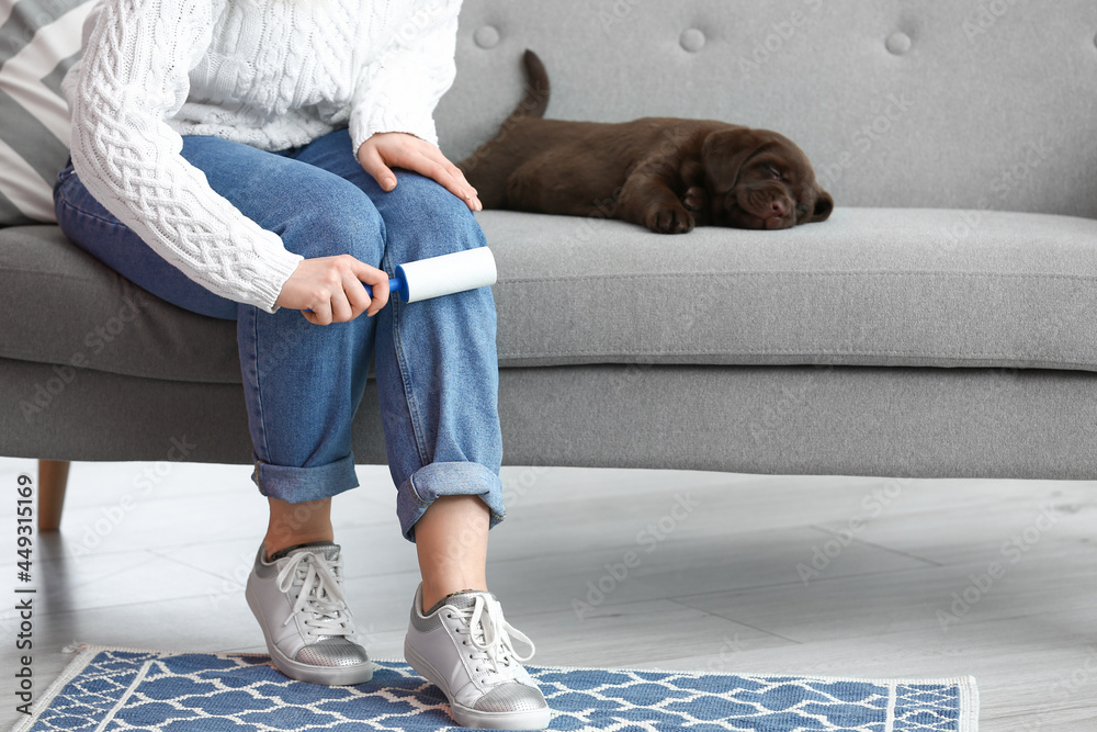 Young woman with cute dog cleaning her jeans at home