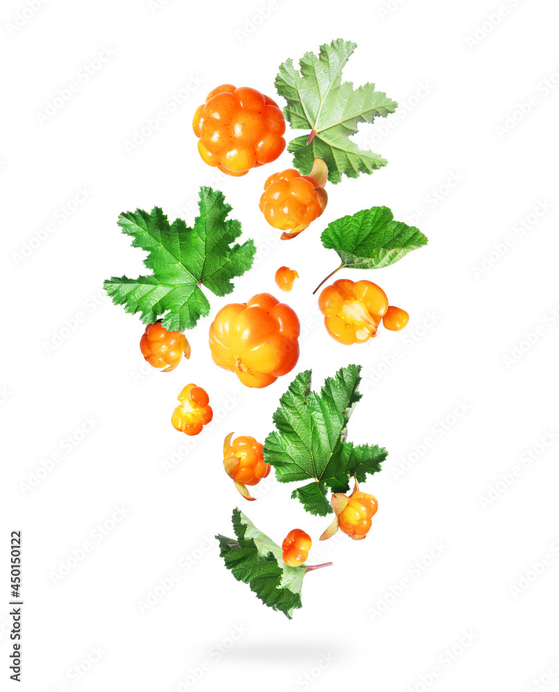 Ripe cloudberries with green leaves in the air isolated on white background