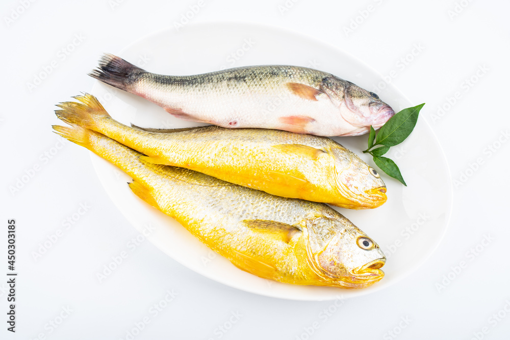 Fresh yellow croaker and perch on white back