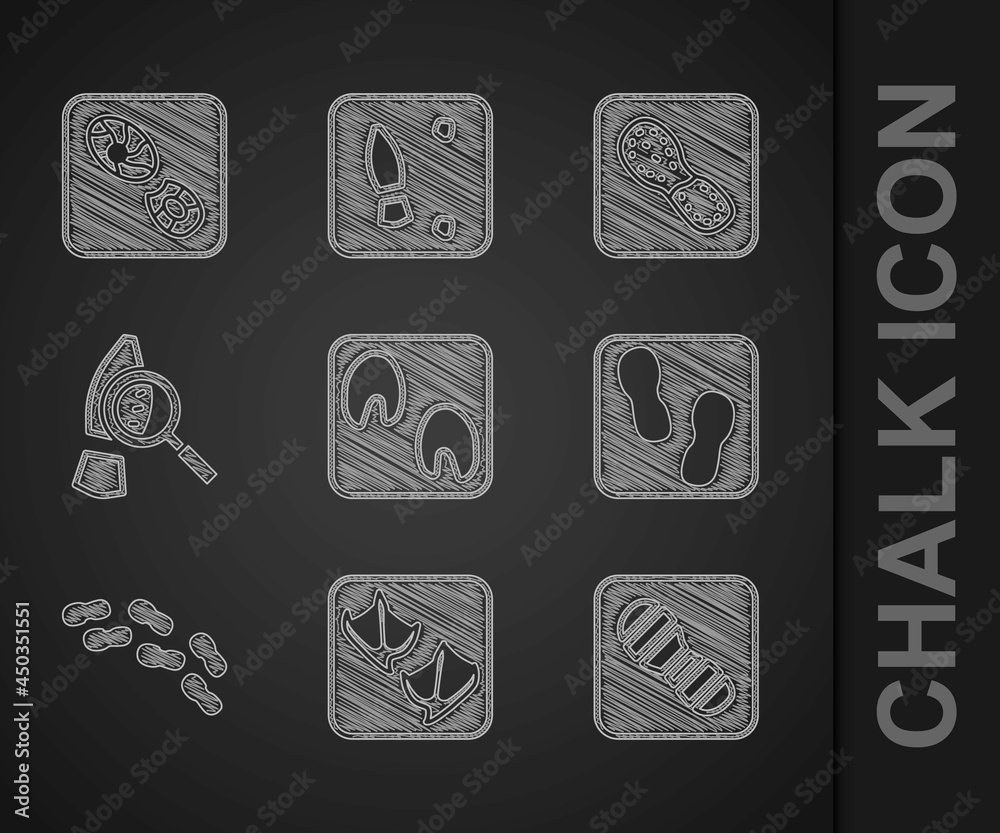 设置马爪足迹、海鸥、人类足迹鞋、带有足迹的放大镜和图标。