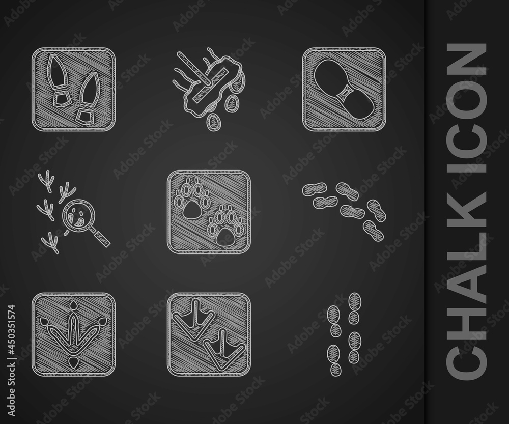 Set Paw print, Goose paw footprint, Human footprints shoes, Chicken, Bird, and icon. Vector