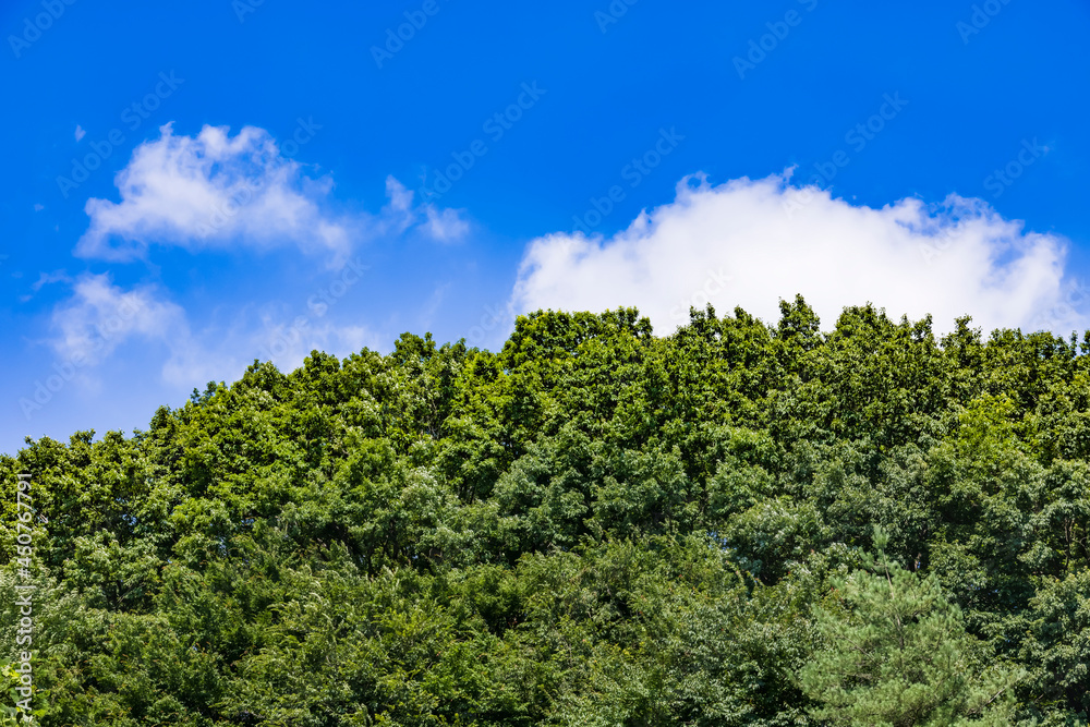 青空と雲と新緑の山