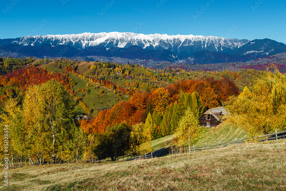 Autumn landscape with colorful deciduous forest and snowy mountains, Romania