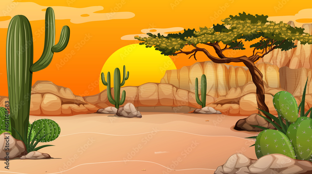 Desert forest landscape at sunset time scene with many cactuses