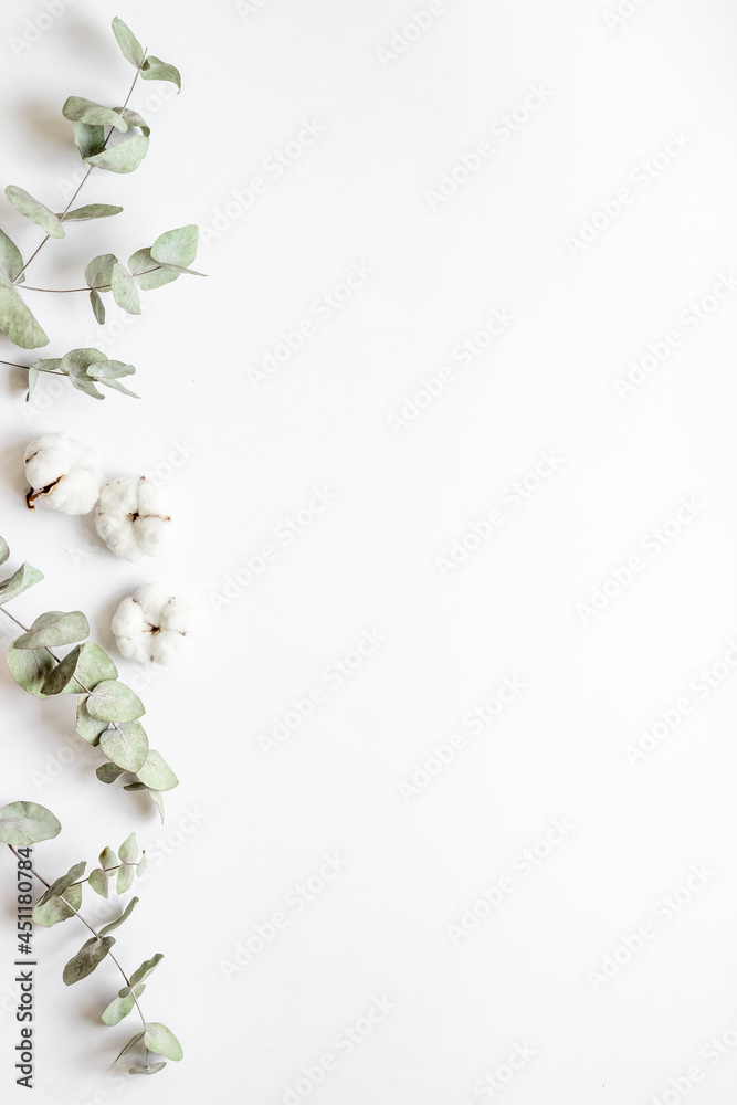 Eucalyptus leaves and cotton flowers pattern, flat lay