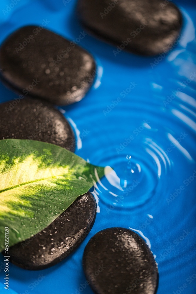 Wet Pebbles , Stones with Leaf