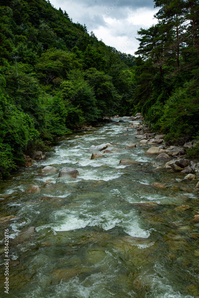 雨の柿其渓谷