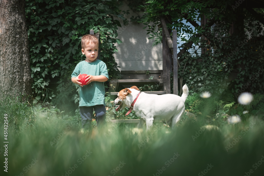 Small kid played with white dog puppy