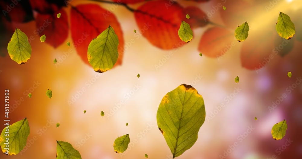 Composition of leaves falling over autumn scenery