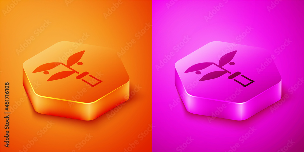 Isometric Plant breeding icon isolated on orange and pink background. Plants growing in the test tub