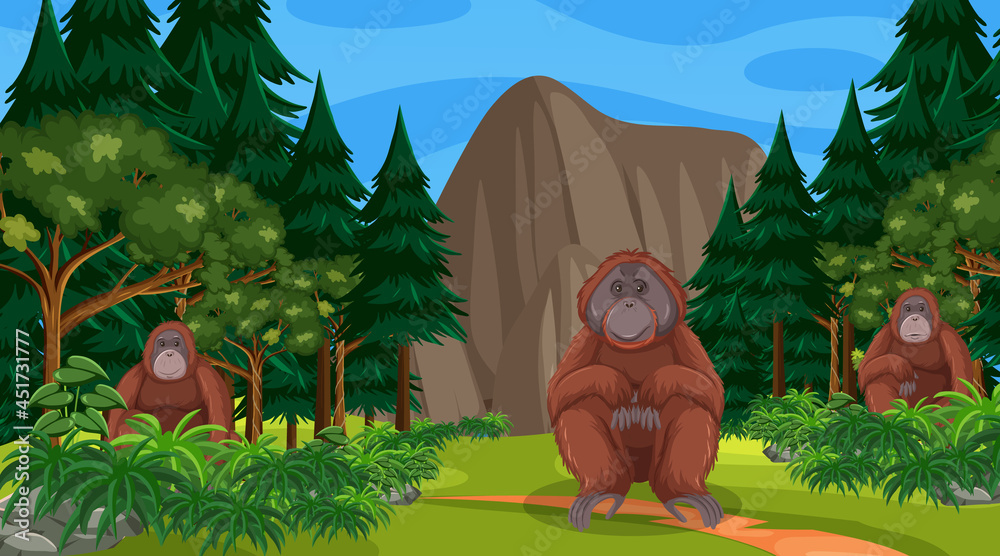 Orangutan in forest or rainforest scene with many trees