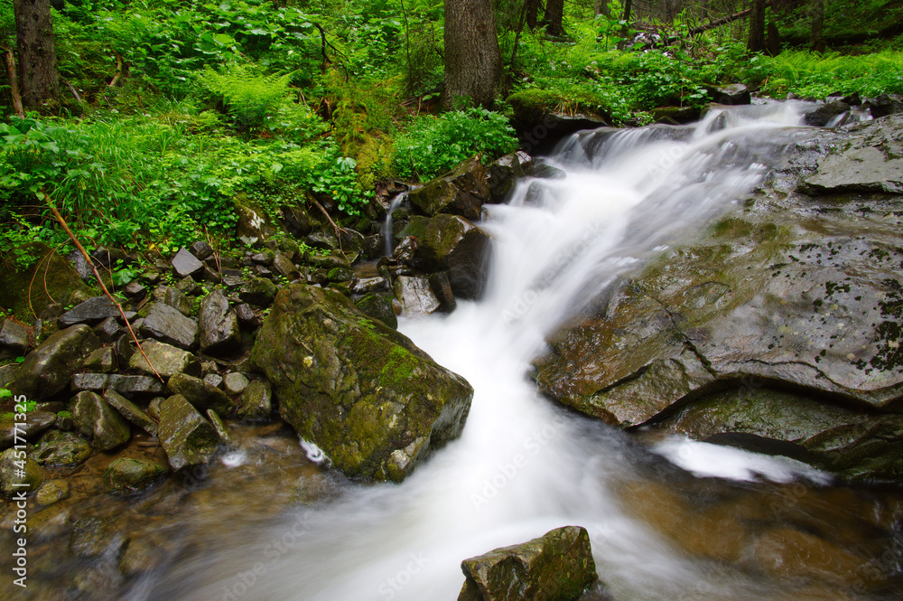 River in the woods