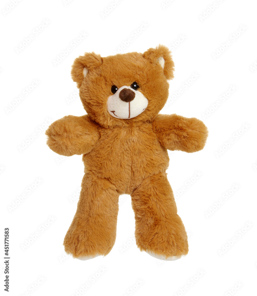 Teddy bear isolated on white