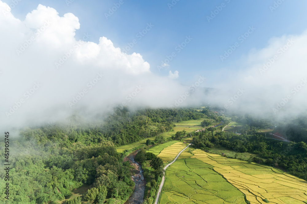 鸟瞰无人机拍摄的热带雨林山脉上流动的雾波，鸟瞰图像结束