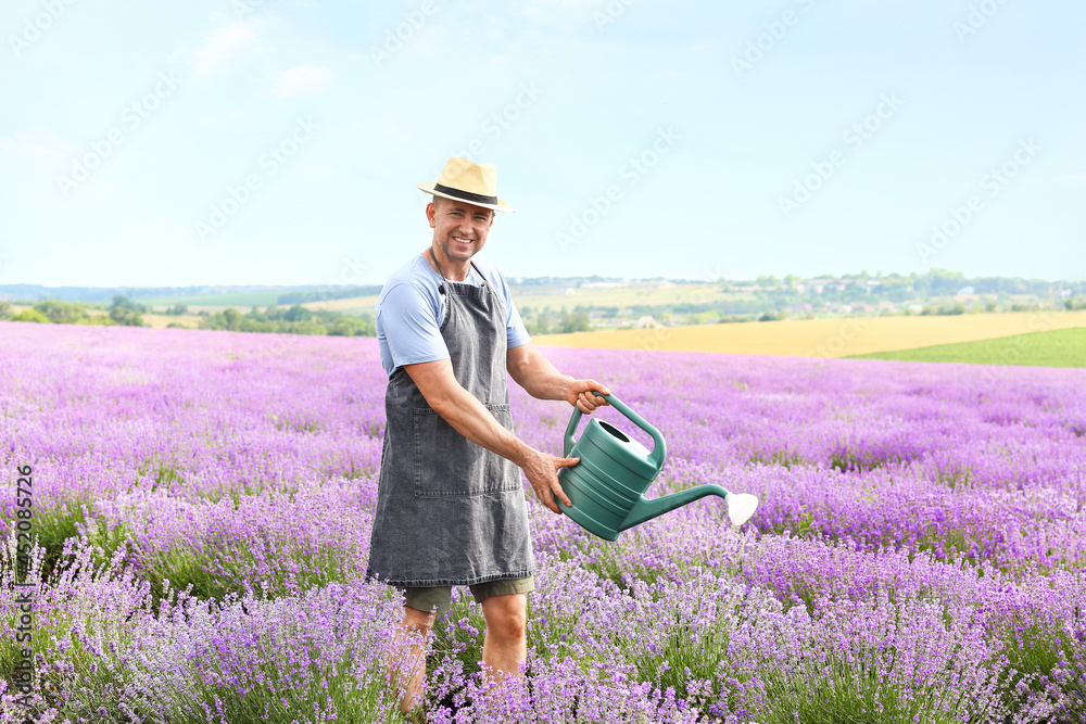 薰衣草地里有喷壶的农民