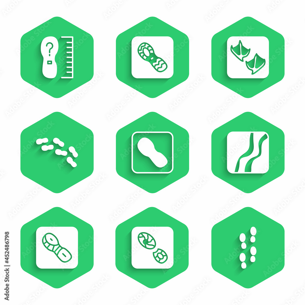 设置人类足迹鞋、蛇爪、海鸥和方块尺寸图标。矢量