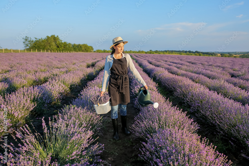 Female farmer holding basket with lavender flowers and watering can in field