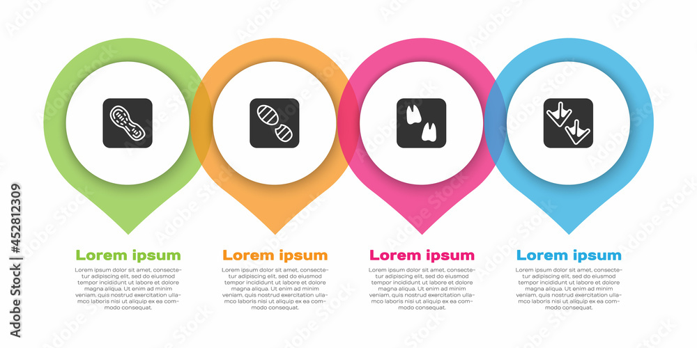 设置人类足迹鞋、骆驼爪和鹅。商业信息图模板。矢量