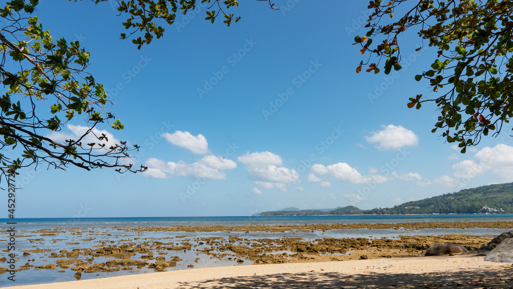 树叶与夏日海滩融为一体令人惊叹的大海清澈的蓝天白云海浪拍打着海岸