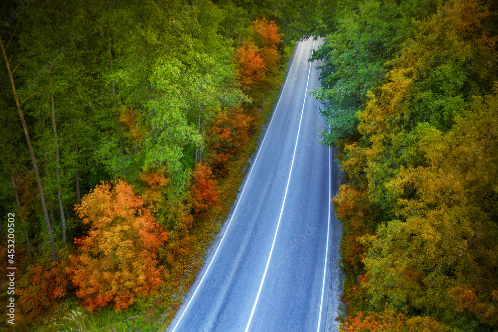 日落时穿过秋日森林的道路。无人机类型。