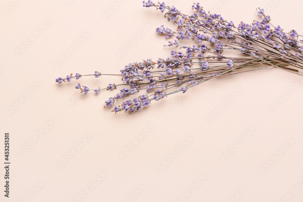 Beautiful lavender flowers on color background