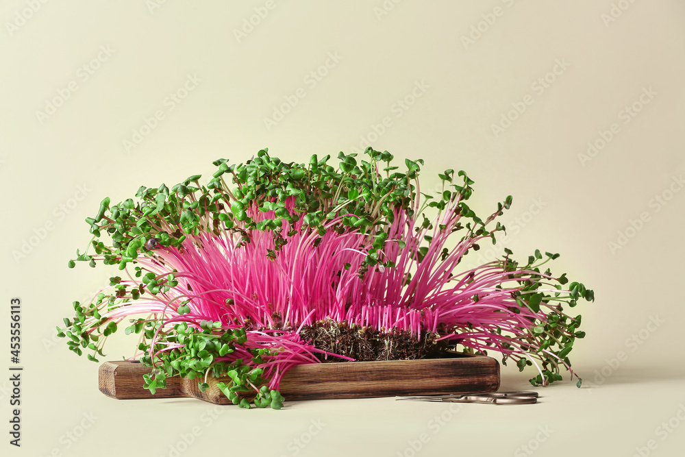 Wooden board with fresh micro green on color background