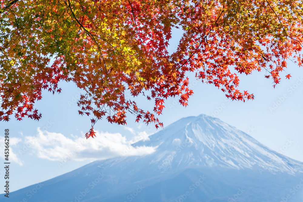 秋天的富士山，秋天的树叶五颜六色