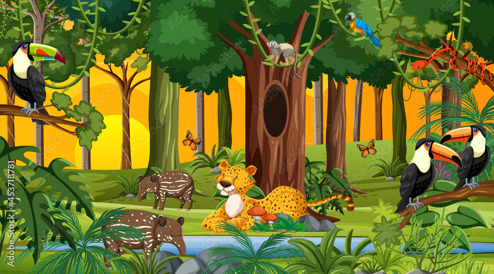 Forest at sunset time scene with different wild animals