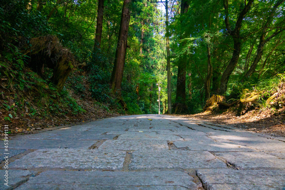 高尾山　1号路　参道