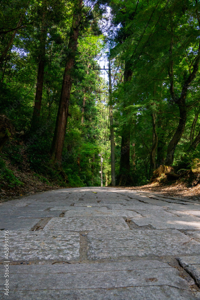 高尾山　1号路　参道