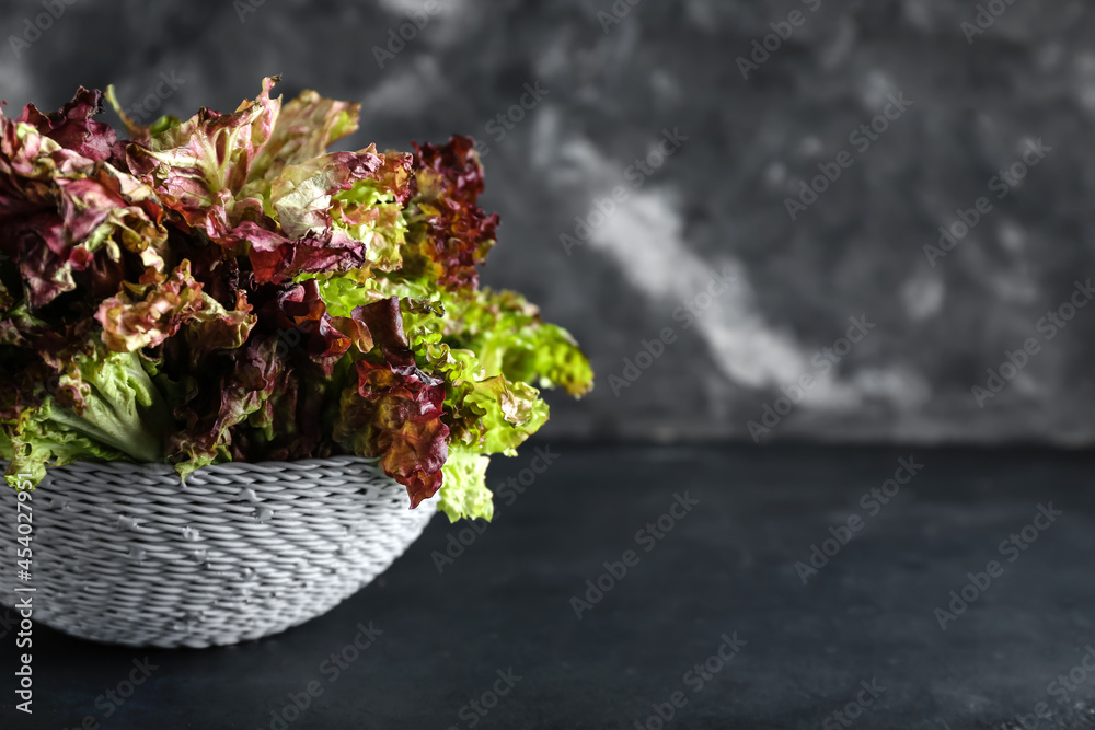 Wicker basket with fresh Lollo Rosso lettuce on dark background